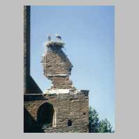 111-1254 Storchennest auf der Wehlauer Kirchenruine .JPG